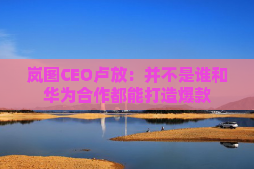 岚图CEO卢放：并不是谁和华为合作都能打造爆款