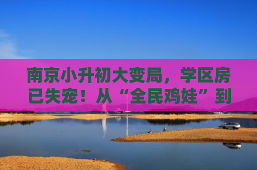 南京小升初大变局，学区房已失宠！从“全民鸡娃”到“精准突围”！