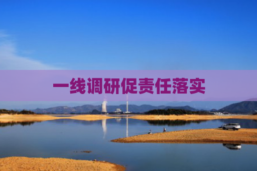 一线调研促责任落实