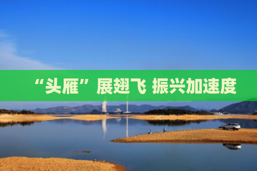 “头雁”展翅飞 振兴加速度