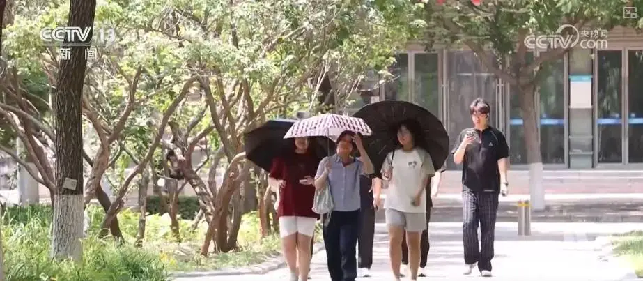 _招生章程什么意思_本科招生啥意思