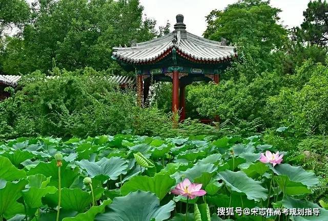 _本科毕业收入高的专业_研究生收入明显高于本科的专业