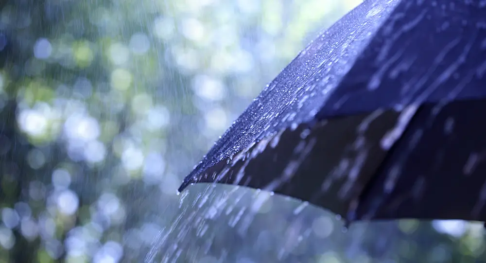 _雷雨课堂作业_灵五网数学七年级上册大练答案