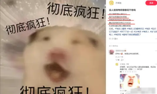 _考研真相怎么看_考研真相的视频