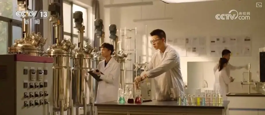 招生章程和招生计划是一本书吗_招生章程什么意思_