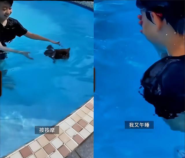 张柏芝晒端午vlog！大儿子从新加坡给她带最爱的蛋糕，幸福到流泪_张柏芝晒端午vlog！大儿子从新加坡给她带最爱的蛋糕，幸福到流泪_