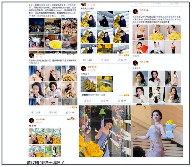 刘亦菲讲话视频_刘亦菲立场_