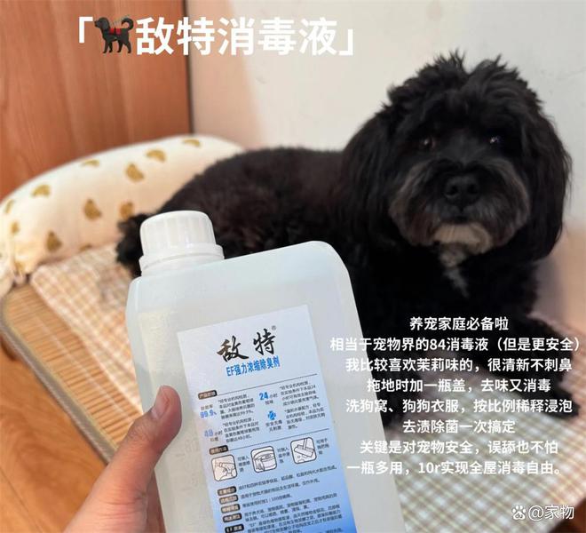 晒晒我妈在并夕夕买的“清洁佳品”，曾经：便宜货，用后：真服了_晒晒我妈在并夕夕买的“清洁佳品”，曾经：便宜货，用后：真服了_