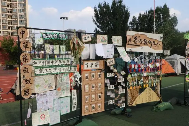 跨维共融 素养共生——中原区建设路小学六年级学习成果展_跨维共融 素养共生——中原区建设路小学六年级学习成果展_