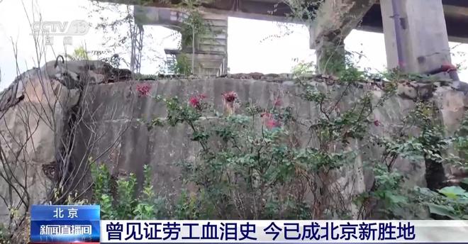 工业遗产焕发新活力 首钢园成北京新胜地