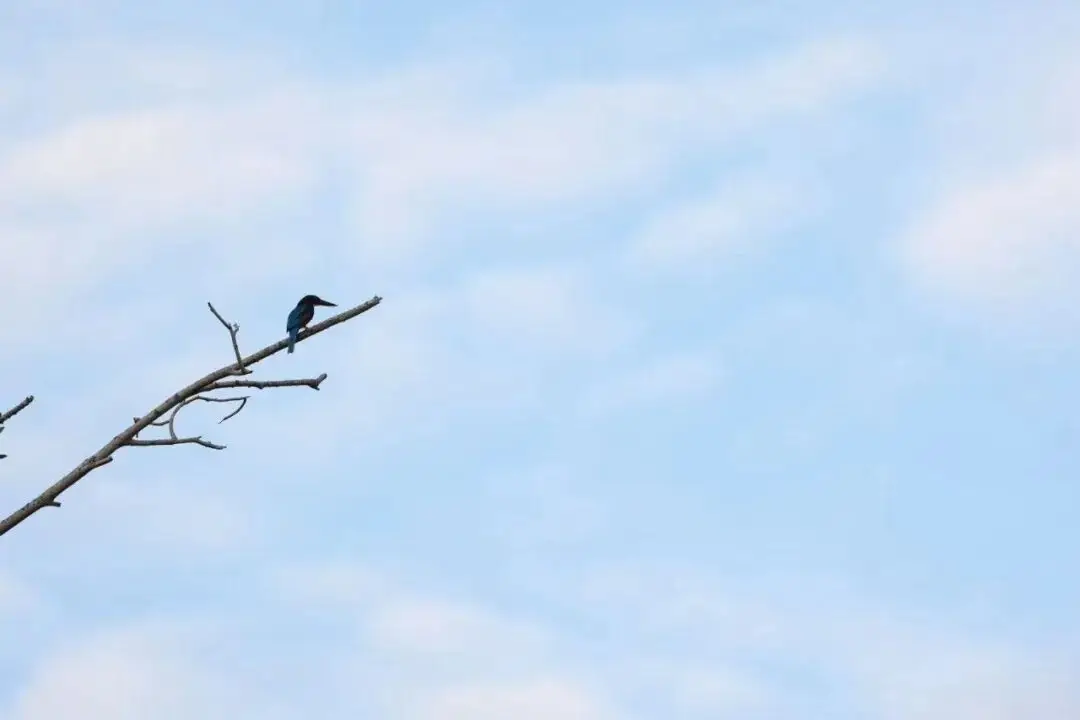感动父母的瞬间__感动父母作文