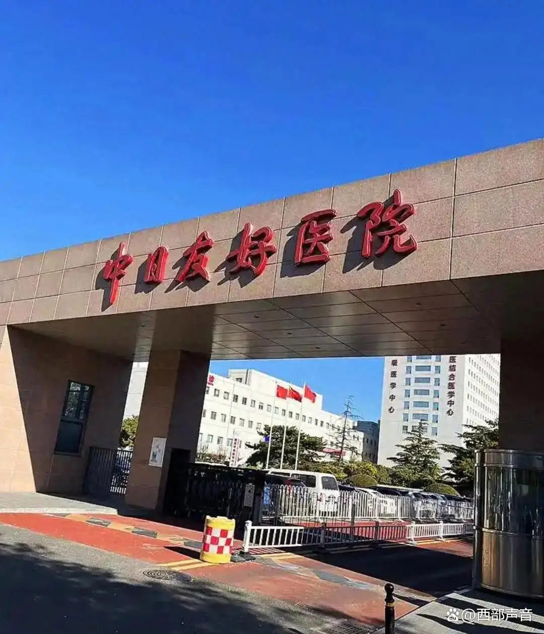 教育就业公平的这层窗户纸，被这位“4+4天才”董小姐公开捅破了