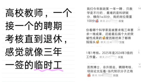 _青年学者，为何成“高危”职业？_青年学者，为何成“高危”职业？