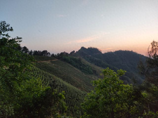 缙云丨刘英：山的念想