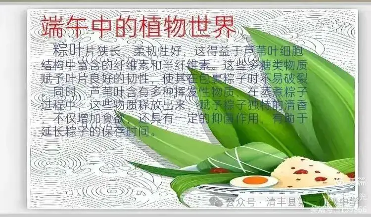 _粽香浸校园 匠心承文脉——清丰县第一初级中学学科解读传统文化_粽香浸校园 匠心承文脉——清丰县第一初级中学学科解读传统文化