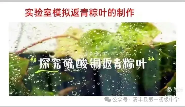 _粽香浸校园 匠心承文脉——清丰县第一初级中学学科解读传统文化_粽香浸校园 匠心承文脉——清丰县第一初级中学学科解读传统文化