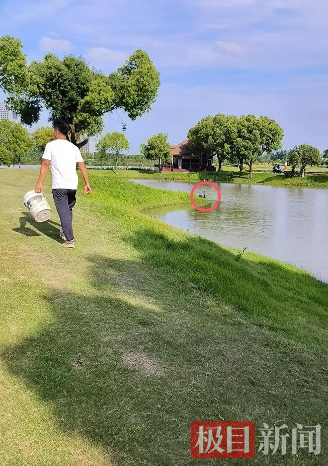 _禁情天华母情_禁情天华二母情