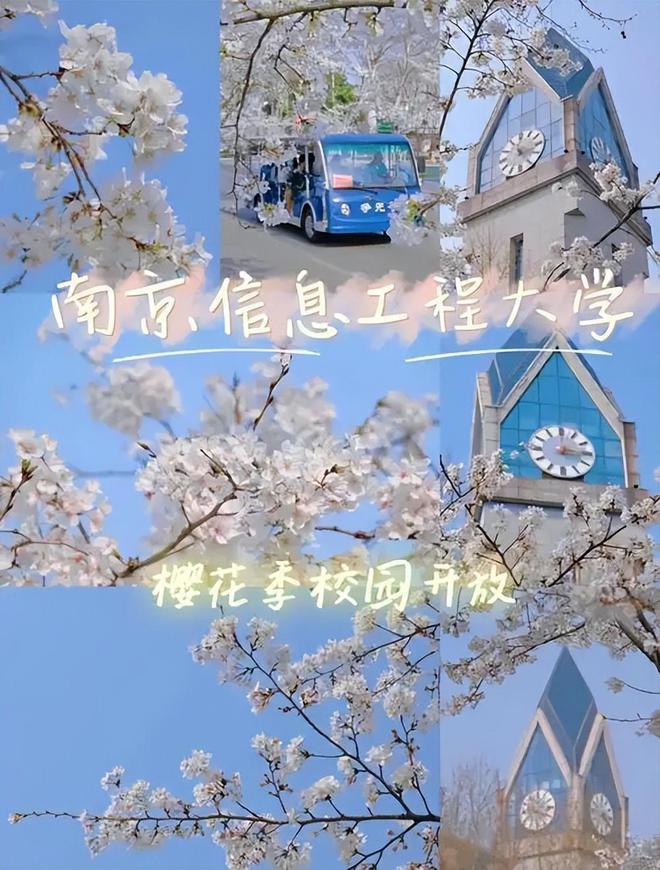 冷门就业率高的专业__就业前景好的冷门专业有哪些