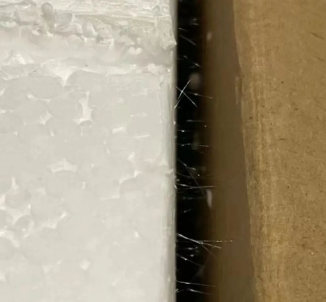 隐形杀手电影__隐形的杀手游戏