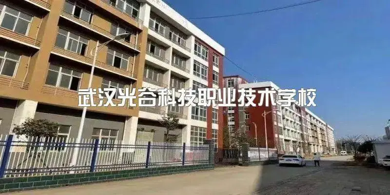 湖北省综合实力50强学校__湖北省实力排名