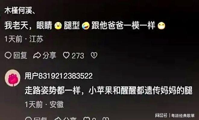 苹果汪峰女儿_汪峰女儿小平果_