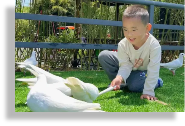 播放科学育儿__幼儿园科学育儿知识及方法