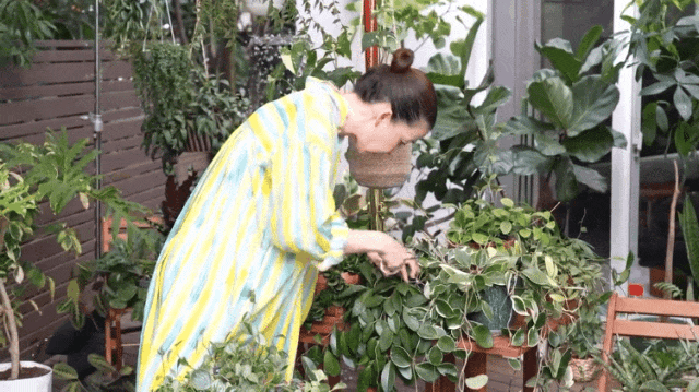 _嫁给山里的女人原型_电影嫁给山里人