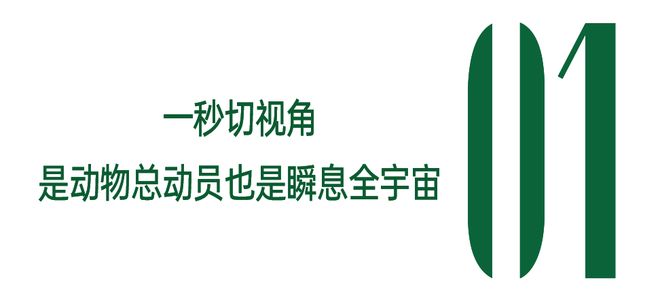 _宇宙全息至简心法_全息宇宙观