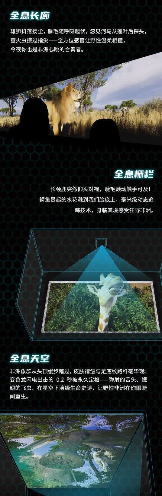 全息宇宙观_宇宙全息至简心法_
