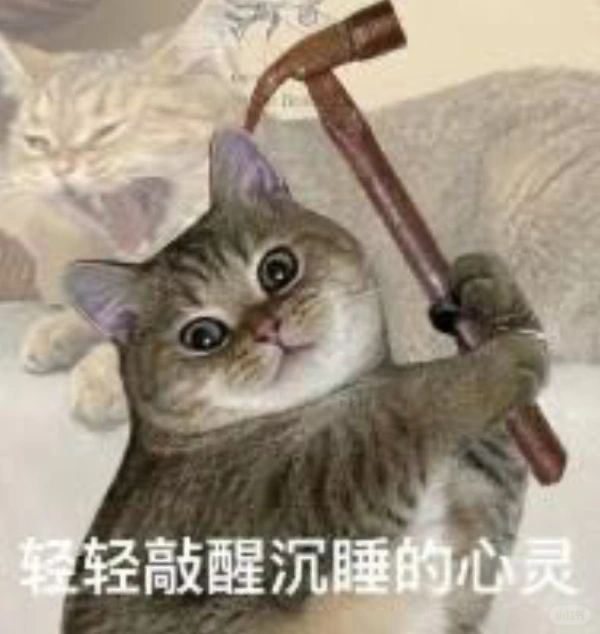 鞋子摆门口有什么讲法_玄关鞋子摆放_
