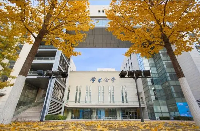 高考后升学捷径：小班教学+名校通道，这些国际本科项目值得关注