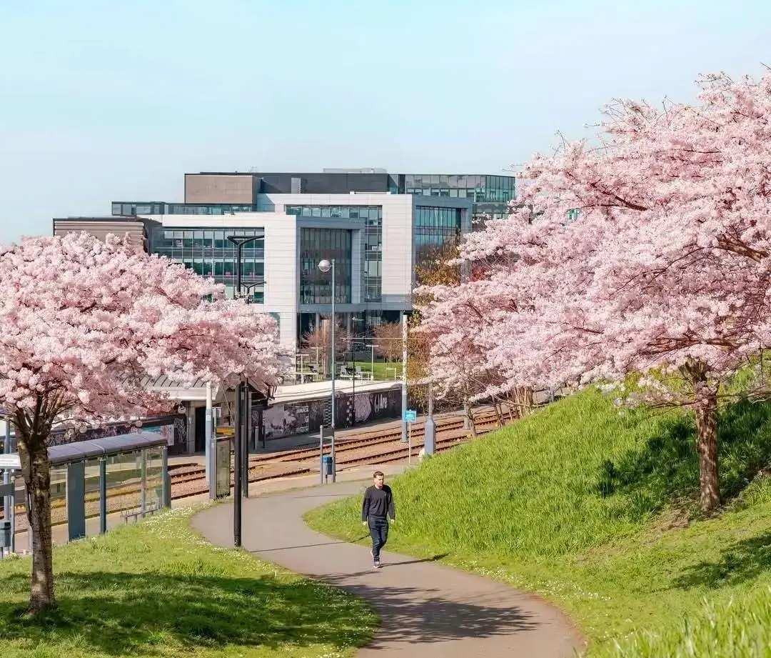 _英国大学qs下降_英国大学下半年还能开学吗