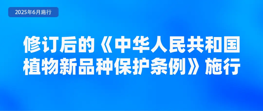 _一月新规_新规四月起实施