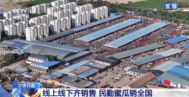 甘肃两个链条_甘肃民勤黑枸杞子价格_
