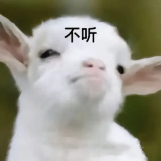 不敢想我要是有这种老师，上课得多有意思