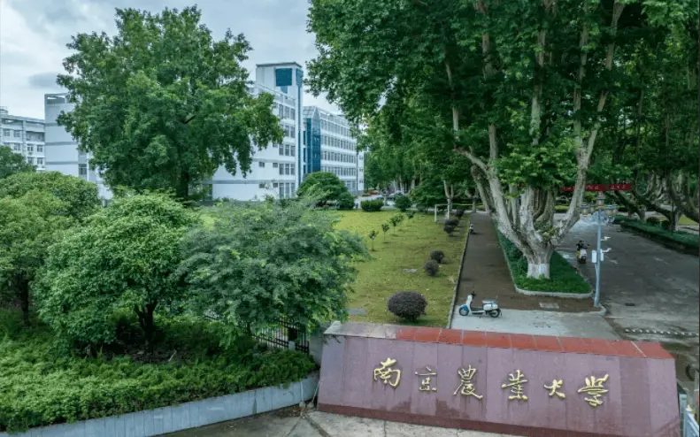 挂过科也能保研，为学生成长提供容错空间 | 新京报快评__挂过科也能保研，为学生成长提供容错空间 | 新京报快评