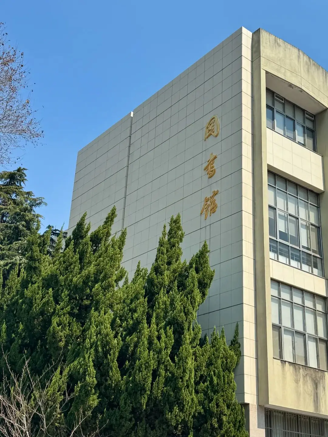 _图书馆迎新活动_图书馆迎新海报