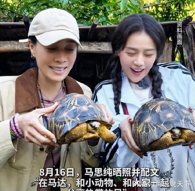 蒋雯丽婚姻电视剧__蒋雯丽太太圈