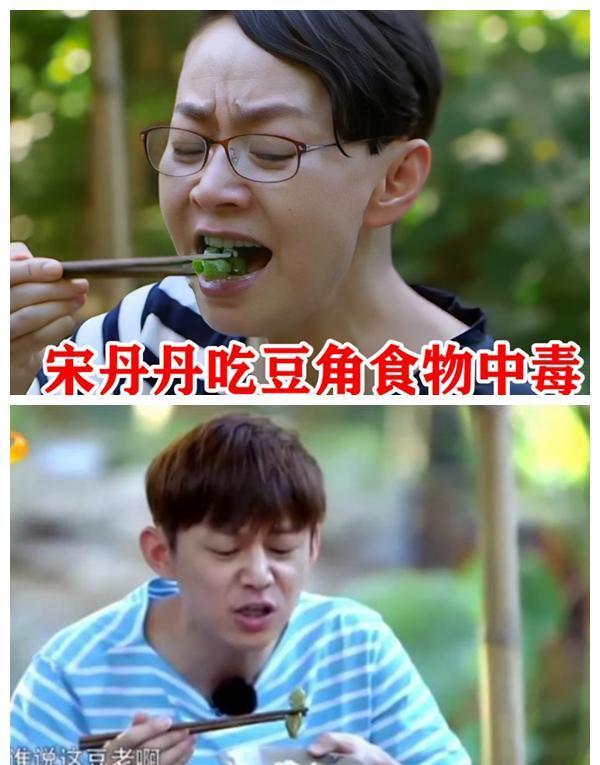 _谢霆锋和黄磊谁的厨艺更厉害_谢霆锋黄磊
