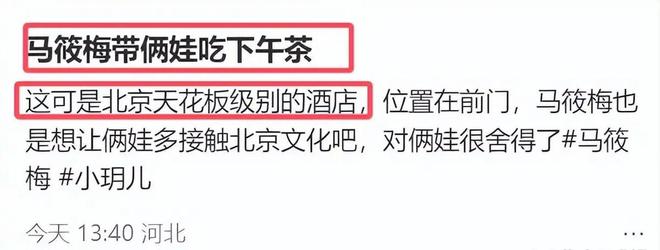 _喝金菊梅茶有什么功效_马儿是谁