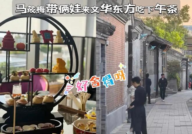 喝金菊梅茶有什么功效__马儿是谁
