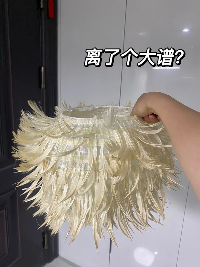 沉浸式踩坑各种网红装修，网友：谢谢避雷了！__沉浸式踩坑各种网红装修，网友：谢谢避雷了！