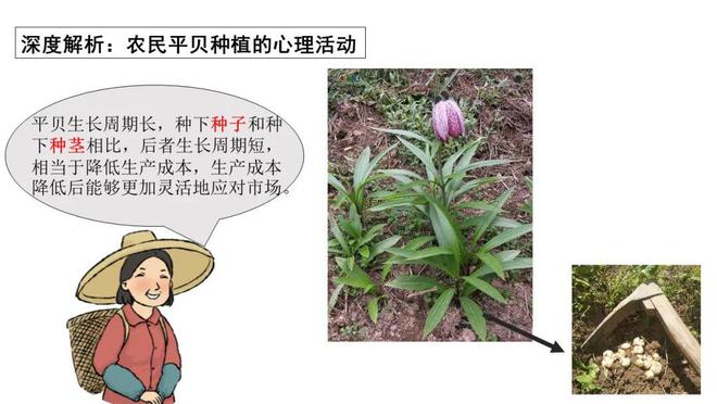 地理高考答案2021山东_高考地理试卷山东_