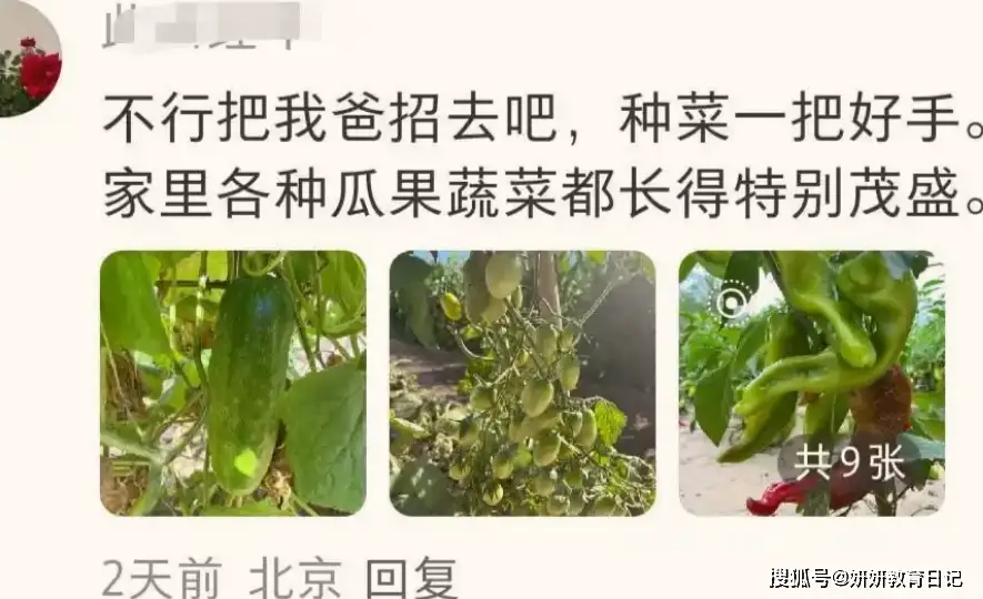 黄瓜的爸爸是谁__网友晒茶叶蛋炫富