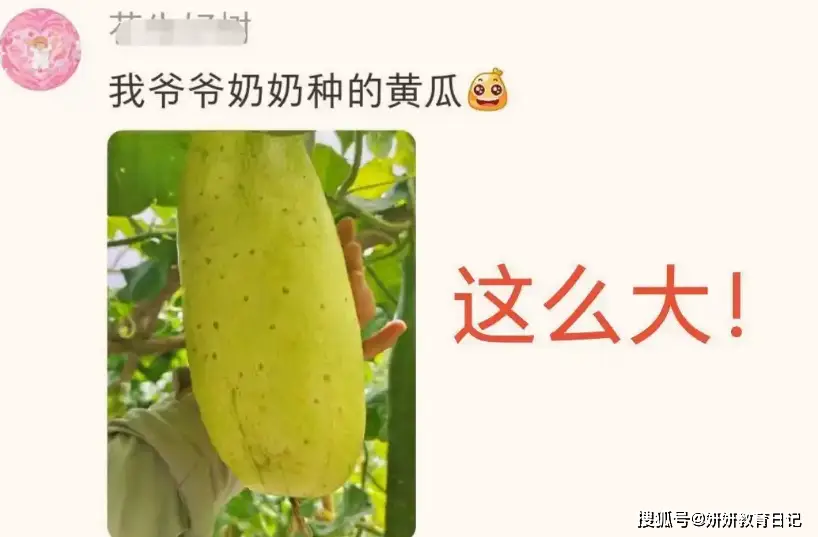 黄瓜的爸爸是谁__网友晒茶叶蛋炫富