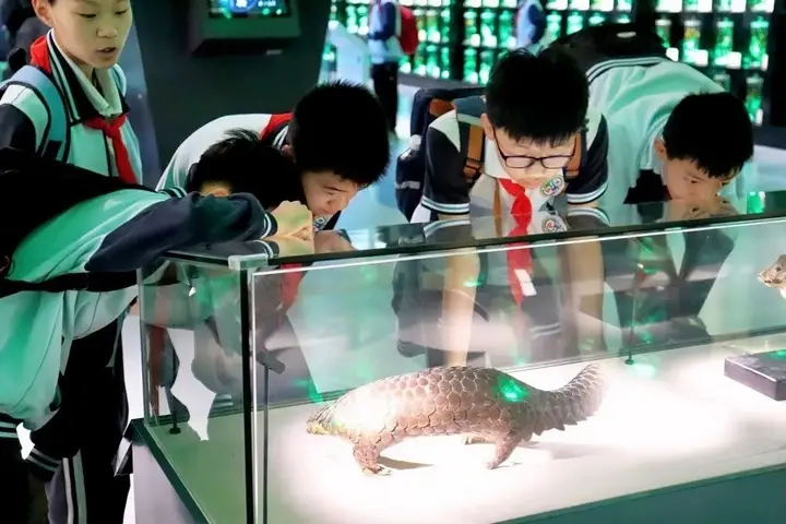 _贵阳中药研究所_贵阳药物研究所