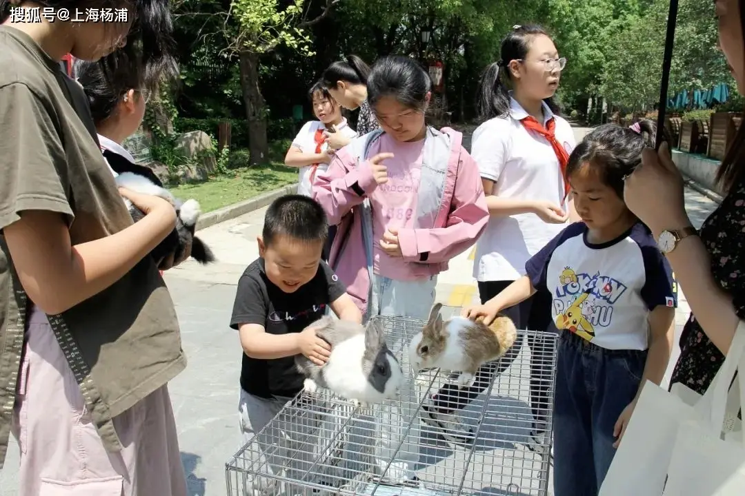 _课外活动开启“成长外挂”，这波操作让孩子们“赢麻了”_课外活动开启“成长外挂”，这波操作让孩子们“赢麻了”