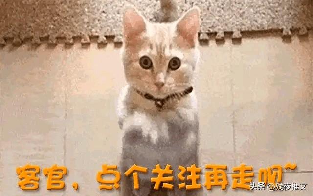 刘亦菲早年暴露装_菲尔普斯身材比例畸形_