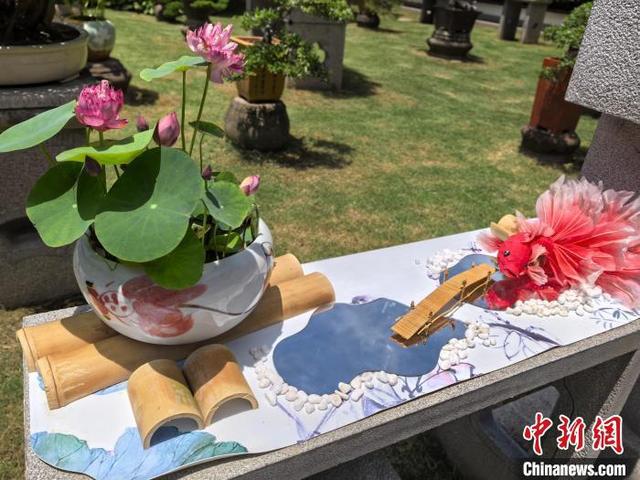 _元气骑士雇佣新随从扣血_tcl怎么安装腾讯视频tv版