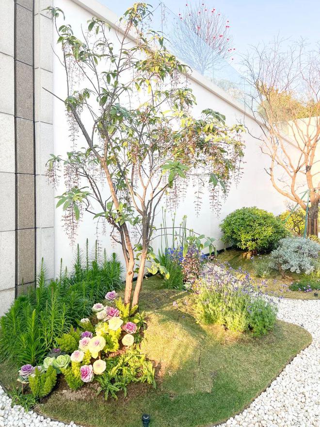 _从市区大平层搬到郊区小院，花4年装出了一个让我“神完气足”的理想家_从市区大平层搬到郊区小院，花4年装出了一个让我“神完气足”的理想家